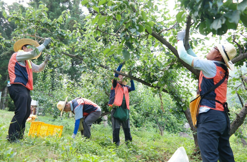 2지역본부 순천지점 사회공헌봉사활동